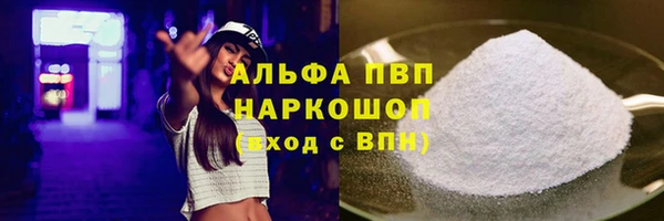 ПСИЛОЦИБИНОВЫЕ ГРИБЫ Богданович